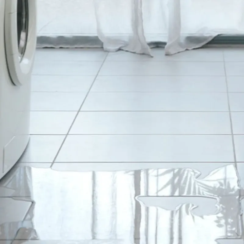 Appliance Leak Cleanup in Humansville, MO