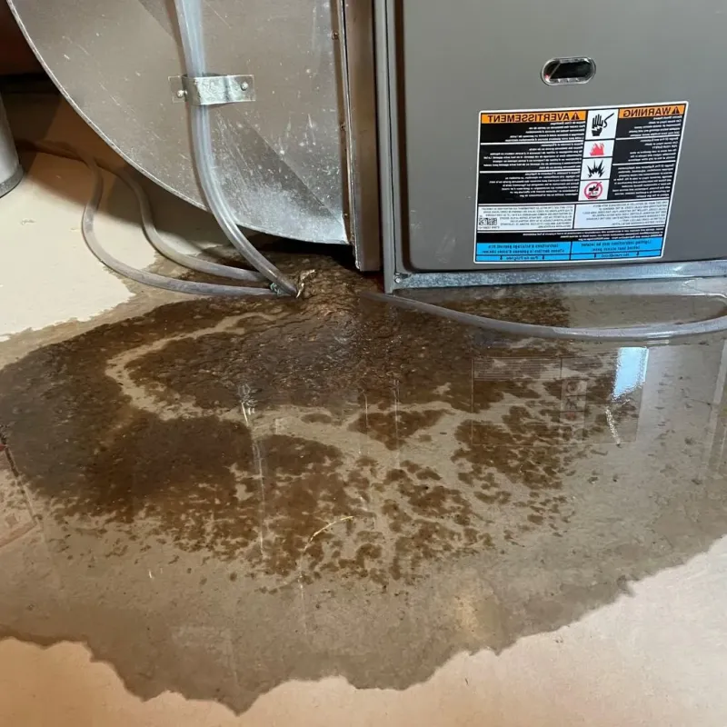 Pipe Burst and Leak Restoration in Humansville, MO