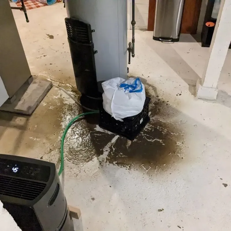 Sewage Backup Cleanup Service in Humansville, MO